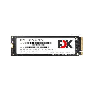 SSD-M2-B5-SERIES-256GB.jpg